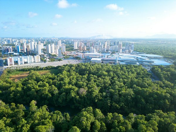 Statut social et mariage : Une dynamique complexe